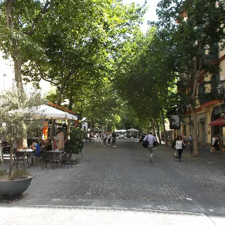 Vi Aspetta